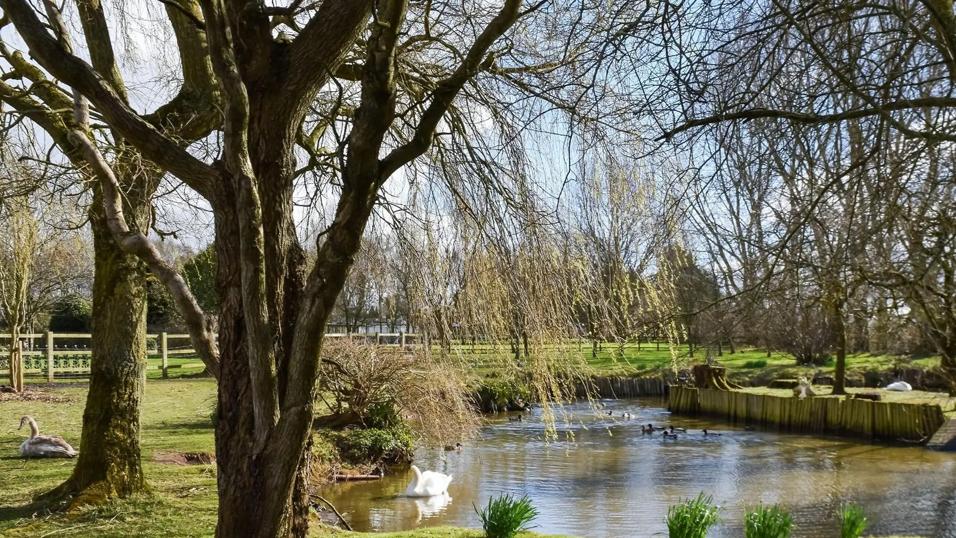 Holiday home Woodpecker Lodge Little Singleton